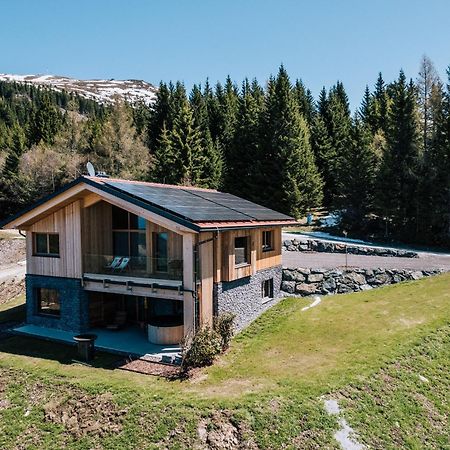 Almchalet - Luxus Am Fusse Der Koralpe Goding Екстер'єр фото